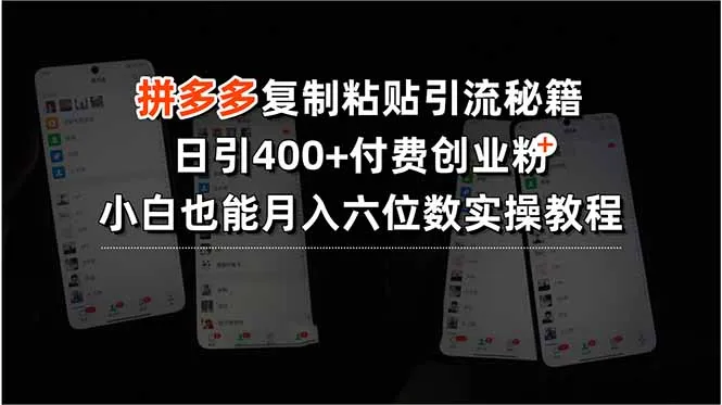 拼多多复制粘贴引流秘籍，日引400+付费创业粉，小白也能月入六位数实操…-来缘阁