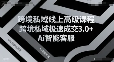 跨境私域线上高级课程，跨境私域极速成交3.0+Ai智能客服-来缘阁