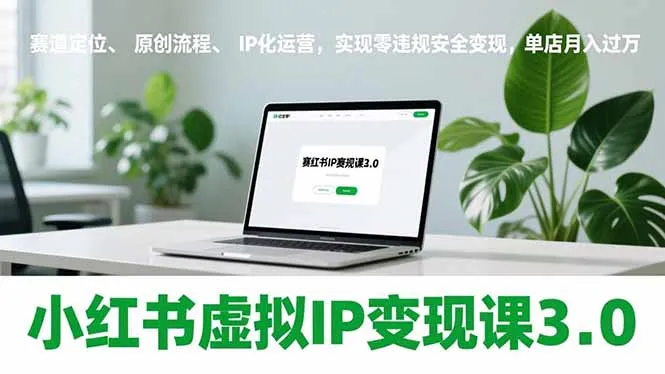 小红书虚拟IP变现课3.0，赛道定位、原创流程、IP化运营，实现零违规安全变现，单店月入过万-来缘阁