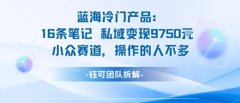 蓝海项目：16条笔记私域变现9750米小众赛道操作的人不多-来缘阁