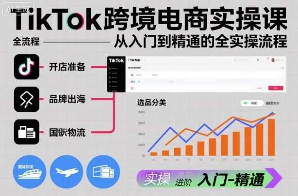 TikTok跨境电商实操课，从入门到精通的全实操流程-来缘阁
