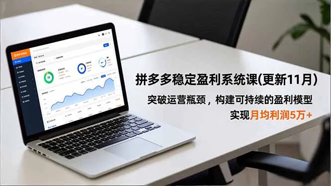拼多多稳定盈利系统课(更新11月-来缘阁