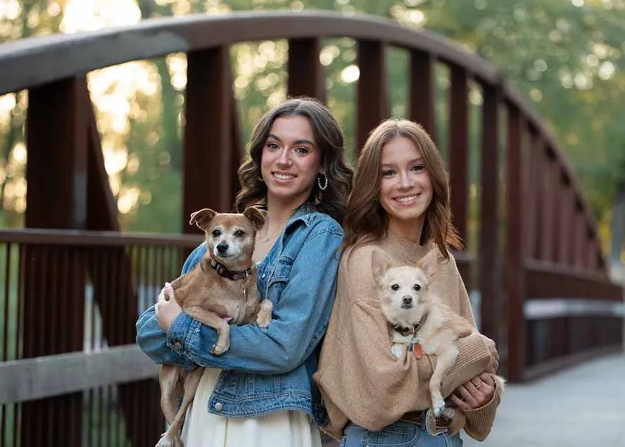 大师级GTG出品-老友记系列AI自适应预设The Friends Preset Collection-来缘阁