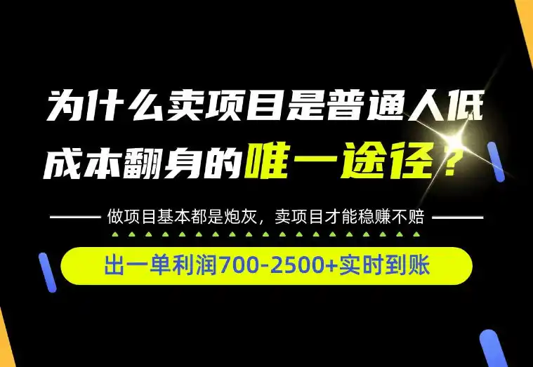 普通人如何靠互联网賺取自己的第一桶金！全类目实操型教学，看完你全都懂了！【揭秘】-来缘阁