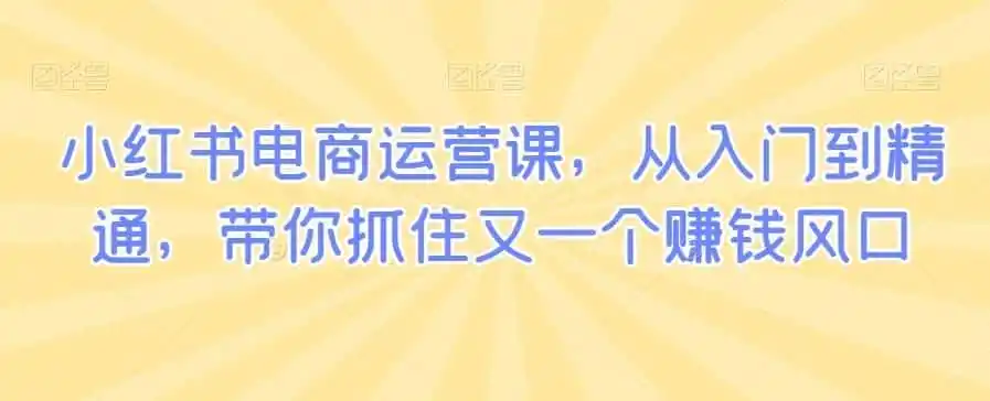 小红书电商运营课，从入门到精通，带你抓住又一个赚钱风口-来缘阁