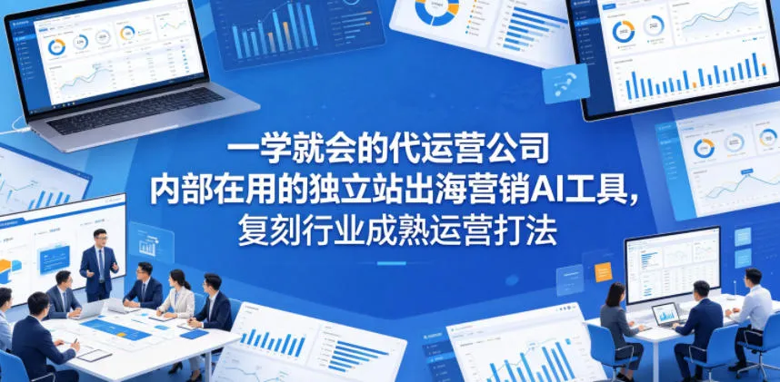 一学就会的代运营公司内部在用的独立站出海营销AI工具，复刻行业成熟运营打法-来缘阁