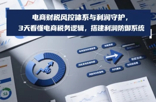 电商财税风控体系与利润守护，3天看懂电商税务逻辑，搭建利润防御系统-来缘阁