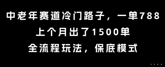 中老年赛道冷门路子,一单788,上个月出了1500单,全流程玩法,保底模式【揭秘】-来缘阁