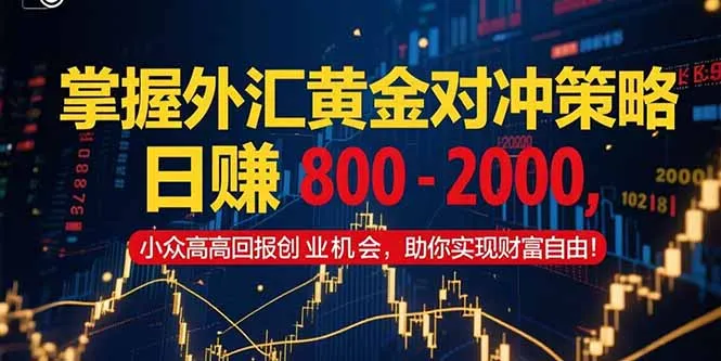 掌握外汇黄金对冲策略，日赚 800 – 2000，小众高回报创业机会，助你实…-来缘阁