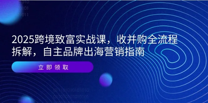 2025跨境致富实战课，收并购全流程拆解，自主品牌出海营销指南-来缘阁