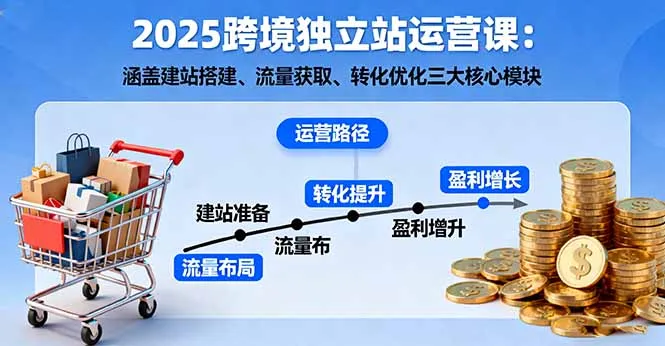 2025跨境独立站运营课：涵盖建站搭建、流量获取、转化优化三大核心模块-来缘阁