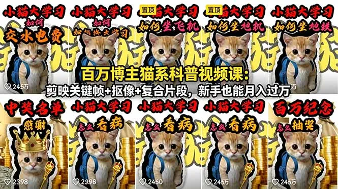 百万博主猫系科普视频课:剪映关键帧+抠像+复合片段,新手也能月入过万-来缘阁