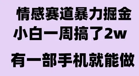 情感暴力掘金项目，新人操作一周挣了2W，长期稳定小白可做【揭秘】-来缘阁