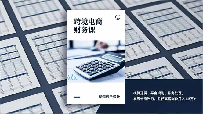 跨境电商财务课，核算逻辑、平台规则、账务处理，掌握全盘账务，胜任高薪岗位月入1.5万+-来缘阁