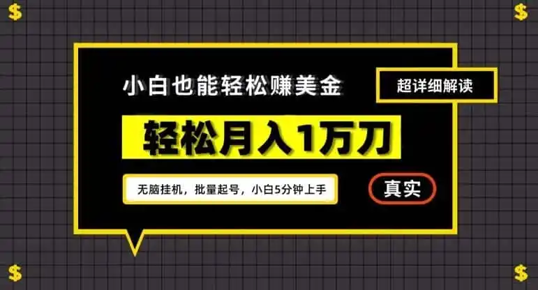 谷歌看广告撸美金2.0,无脑挂机,多号操作,月入1万刀【揭秘】-来缘阁