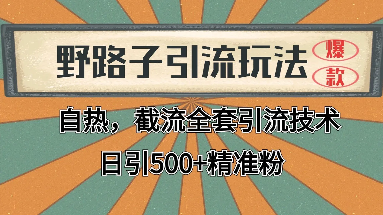 2024首发野路子引流玩法截流自热全平台打法，全自动引流【日引2000+精准客户】-来缘阁