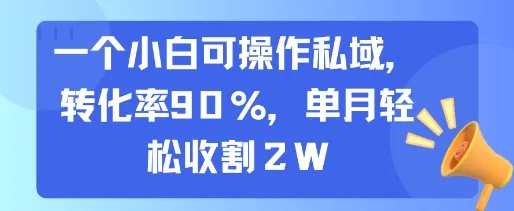 一个小白可操作私域，转化率90%，单月轻松收割2W-来缘阁