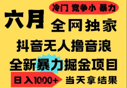 25年6月高爆抖音无人直播最新撸音浪掘金项目，小白可做，无脑日入1k+，门槛低可批量矩阵【揭秘】-来缘阁