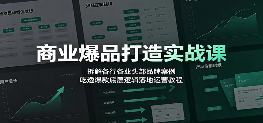 商业爆品打造实战课:拆解各行各业头部品牌案例,吃透爆款底层逻辑落地运营教程-来缘阁