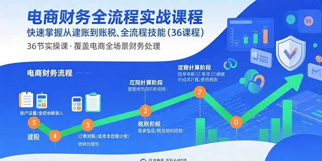电商财务全流程实战课程：快速掌握从建账到报税的全流程技能(36节课-来缘阁