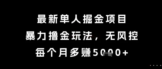 最新单人掘金项目,暴力撸金玩法,无风控,每个月多挣5k+【揭秘】-来缘阁