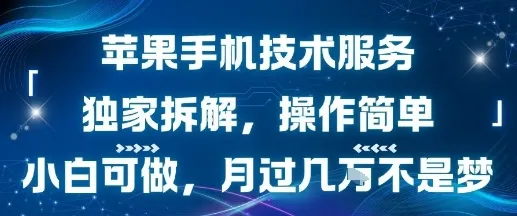 苹果手机技术服务，独家拆解，操作简单，小白可做，月过1W不是梦-来缘阁