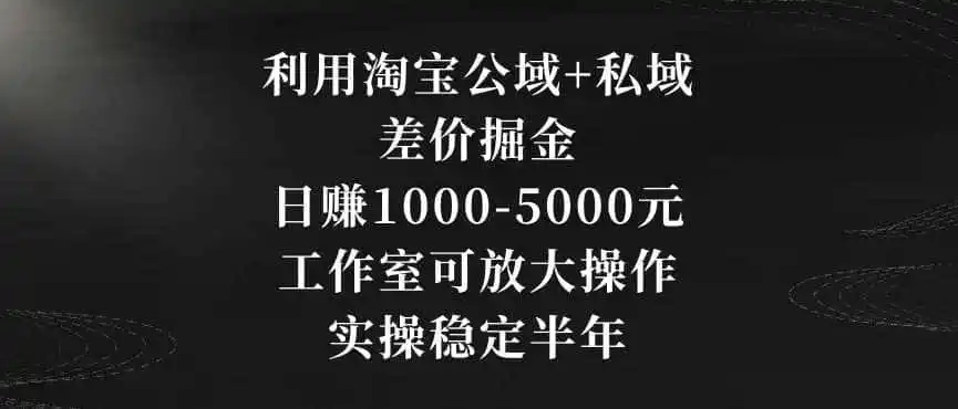 利用淘宝公域+私域差价掘金，日赚1000-5000元，工作室可放大操作，实操稳定半年【揭秘】-来缘阁