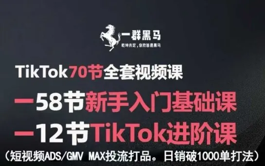 TikTok全套视频课，新手入门+进阶课，短视频ADS-GMV MAX投流打品，日销破1000单打法-来缘阁