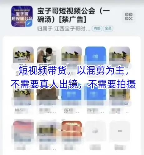宝子哥头部团队短视频带货，以混剪为主，不需要真人出镜，不需要拍摄【更新】-来缘阁
