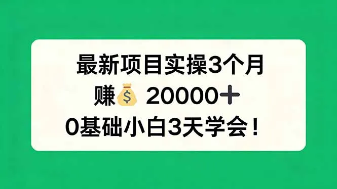 最新项目实操3个月，赚钱20000+，0基础小白3天学会！-来缘阁