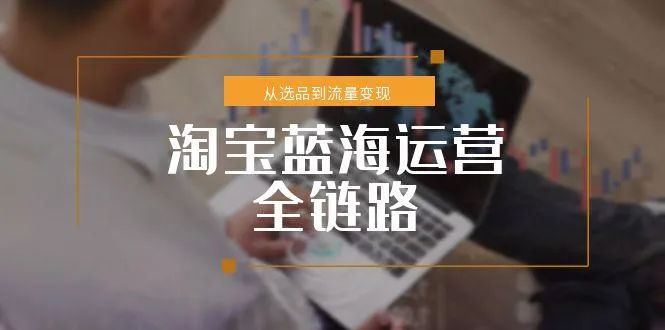 淘宝蓝海运营全链路，从选品到流量变现，小类目突围完整方案-来缘阁