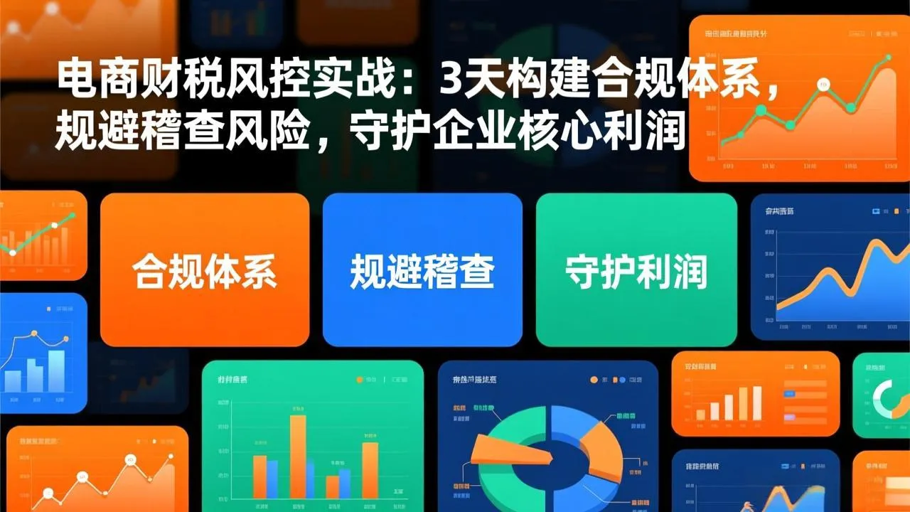 电商财税风控实战：3天构建合规体系，规避稽查风险，守护企业核心利润-来缘阁