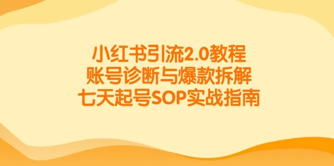 小红书引流2.0教程，账号诊断与爆款拆解，七天起号SOP实战指南-来缘阁