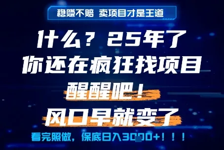 什么？25年你还在疯狂找项目做，醒醒吧，看完这些你全都懂了！【揭秘】-来缘阁