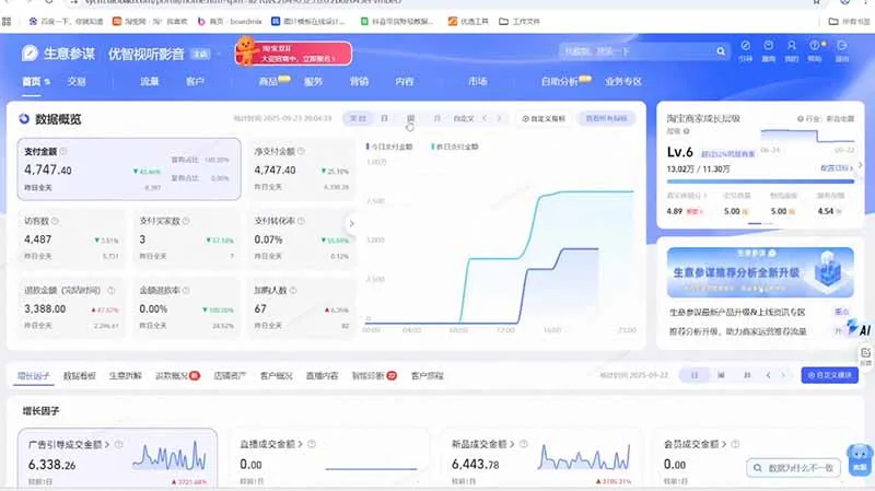 淘宝VIP特训课-更新0917：蓝海选品+付费投放｜短视频AI运营｜大促起爆全流程，破解店铺无流量无利润难题-来缘阁