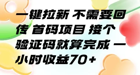 一键拉新 不需要回传 首码项目 接个验证码就算完成 一小时收益70+【揭秘】-来缘阁