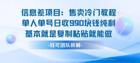 信息差项目：售卖冷门教程单人单号日收9张纯利基本就是复制粘贴就能做-来缘阁