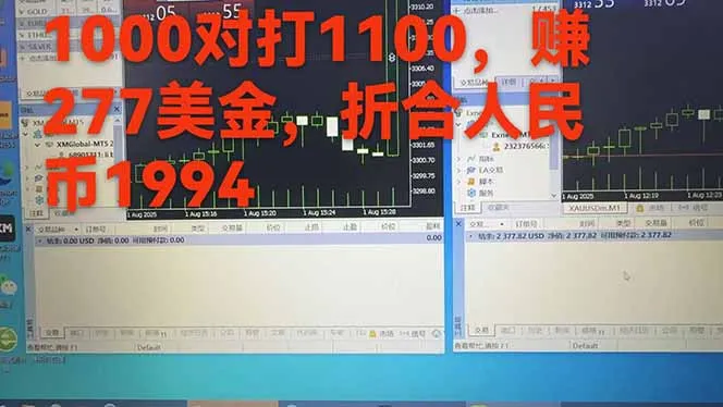 稳定8年的美刀搬砖项目，单人每日收益800—3000.团队4人月入10W+.可线下-来缘阁